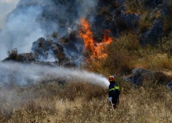 Limasol’da orman yangını