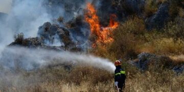 Limasol’da orman yangını