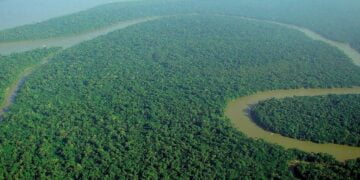 Amazon ormanlarının üçte birinden fazlası kuraklıkla mücadele ediyor