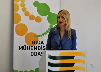 KTMMOB: Et ithalatı çözüm mü?
