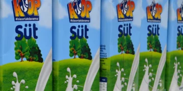 Çeler: Koop-Süt’te neler oluyor?