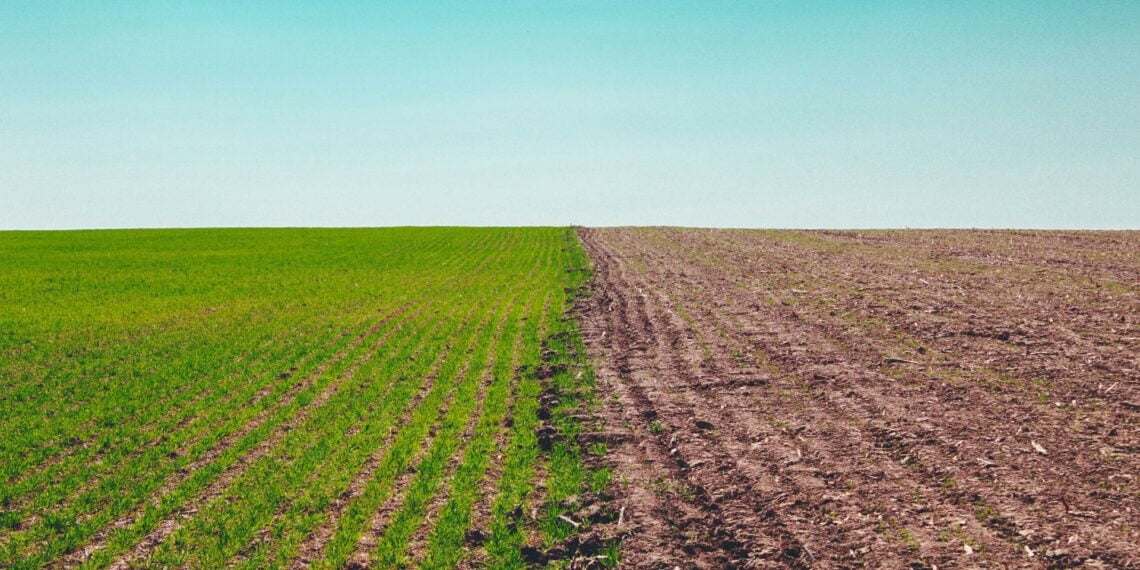 Küresel ısınmayı 1,5°C ile sınırlamak için karbondioksit giderme çalışmaları yetersiz