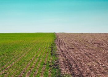 Küresel ısınmayı 1,5°C ile sınırlamak için karbondioksit giderme çalışmaları yetersiz