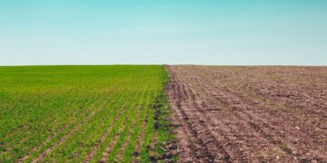 Küresel ısınmayı 1,5°C ile sınırlamak için karbondioksit giderme çalışmaları yetersiz