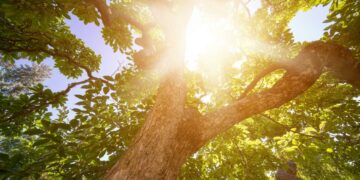 World Weather Attribution: Nisan ayındaki aşırı sıcakların tek nedeni iklim değişikliği