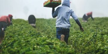 Dünya Bankası: Tarımda dönüşüm sera gazı emisyonlarını üçte bir azaltabilir