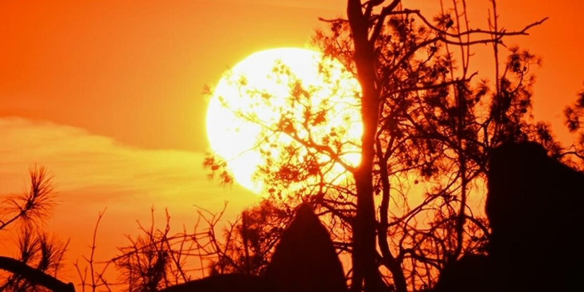 Artan ısı kubbeleri, orman yangınlarına davetiye çıkarıyor