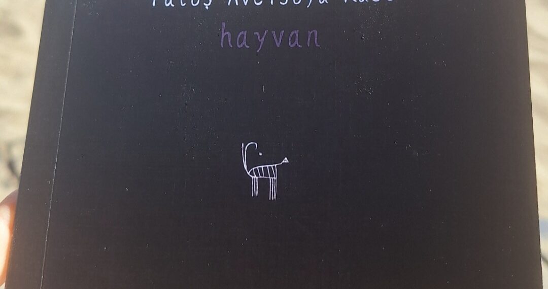 Hayvan | Tüge Dağaşan