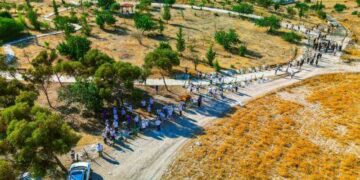 Kıbrıs’ın çölleşme riski altındaki tarım arazilerine kuraklığa dayanıklı ağaçlar ve aromatik bitkiler dikiliyor