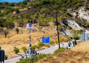Kuşların ölümlerini engellemek için elektrik hatları işaretlenecek