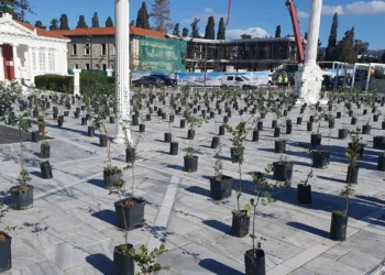 Baf’a İki Bin Ağaç Dikilecek