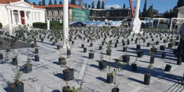 Baf’a İki Bin Ağaç Dikilecek