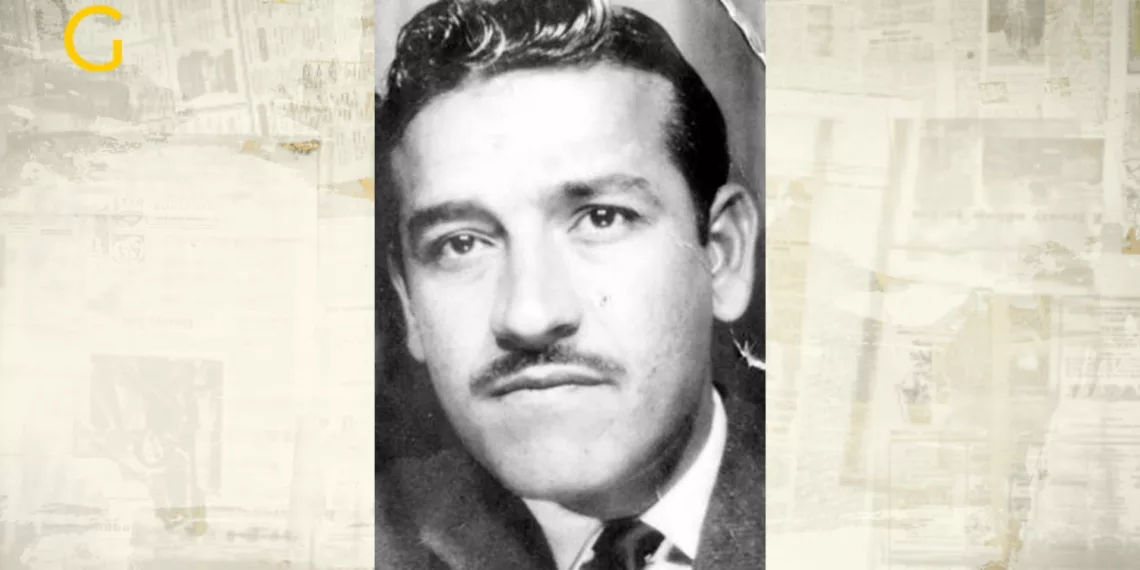 Alpay | Şener Levent