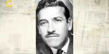 Alpay | Şener Levent