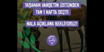 14 Eşeğin Katledilmesi: “Konun Kapatılmasından Ciddi Endişe Duyuyoruz”