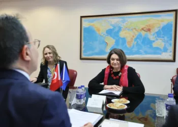 DiCarlo Ankara’da Dışişleri Bakanıyla Değil, Yardımcısıyla Görüşebildi