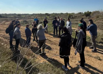 Mağusa Sulak Alanlarının Ekolojik Ve Kültürel Önemi Masaya Yatırılacak