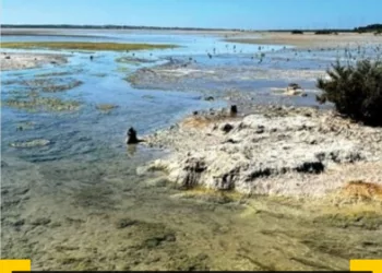 Kıbrıs Çevre Hareketi Akrotiri Tuz Gölü’nün Kötüleşen Durumu Konusunda Uyardı