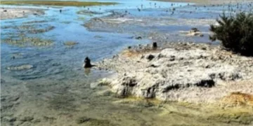 Kıbrıs Çevre Hareketi Akrotiri Tuz Gölü’nün Kötüleşen Durumu Konusunda Uyardı