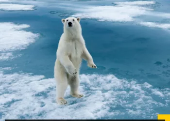 Küresel Isınma, Dünya’nın Bir Sonraki Buzul Çağını Binlerce Yıl Geciktirebilir