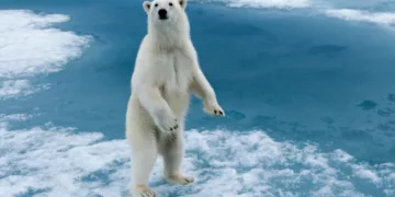 Küresel Isınma, Dünya’nın Bir Sonraki Buzul Çağını Binlerce Yıl Geciktirebilir