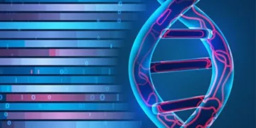 Yeni Araştırma Kıbrıslırumların Sadece Yüzde 10 ile 30’unun Yunan Kökenli Olduğunu Gösteriyor