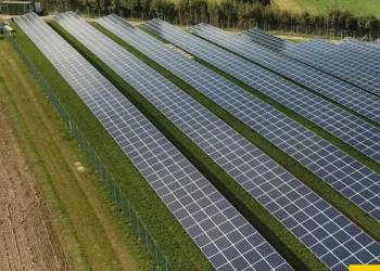 Tarım Arazilerini Korumak İçin Güneş Enerjisi Çiftliklerine Kısıtlama