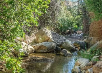 Baharın Gelişiyle Doğa Parkurları Yeniden Açıldı