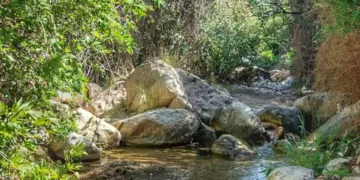 Baharın Gelişiyle Doğa Parkurları Yeniden Açıldı