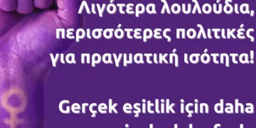 Volt: Gerçek Eşitlik İçin Daha Az Çiçek, Daha Fazla Politika