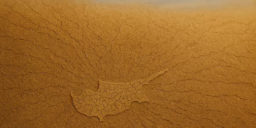 Kıbrıslılığa Nasıl Geldik?