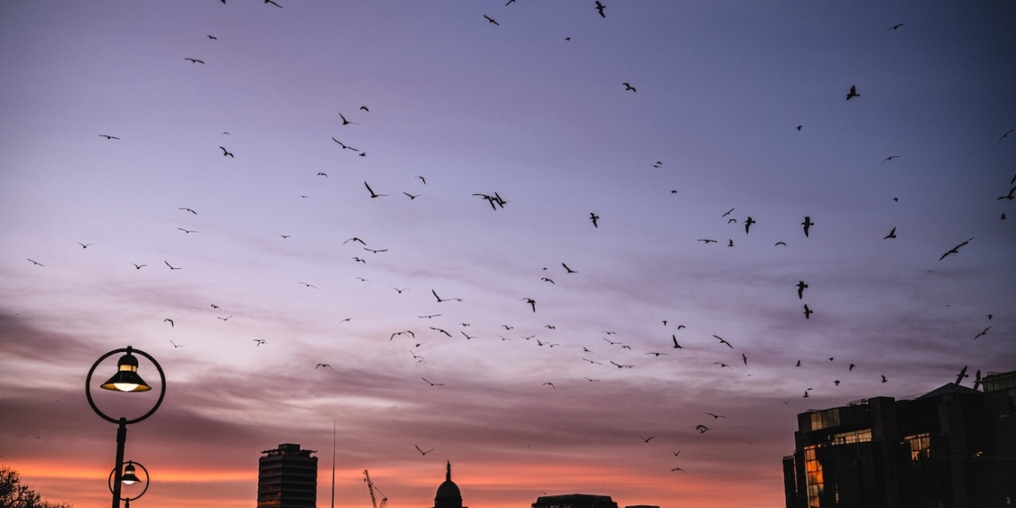 Yaşama Kucak Açmak 