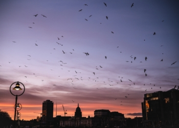 Yaşama Kucak Açmak 