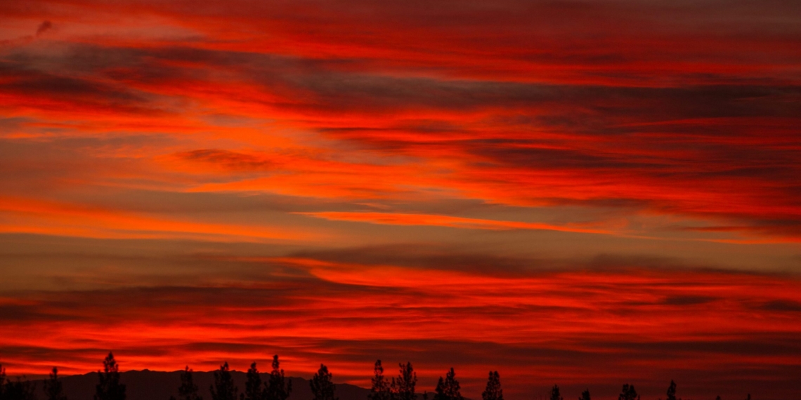 Eksilen Harflerle Konuşma Denemesi