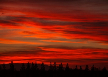 Eksilen Harflerle Konuşma Denemesi