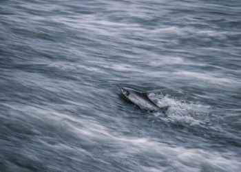 Güvenli Alanları Terk Ederken: Korkaklık mı, Cesaret mi?