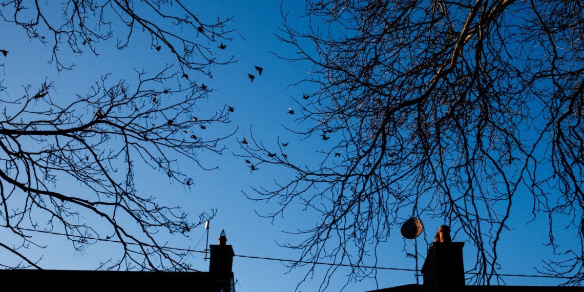 Evde Hissetmek Mümkün Mü?