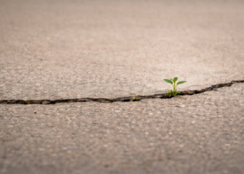 Hayat Sana Güzel Bakanlığı