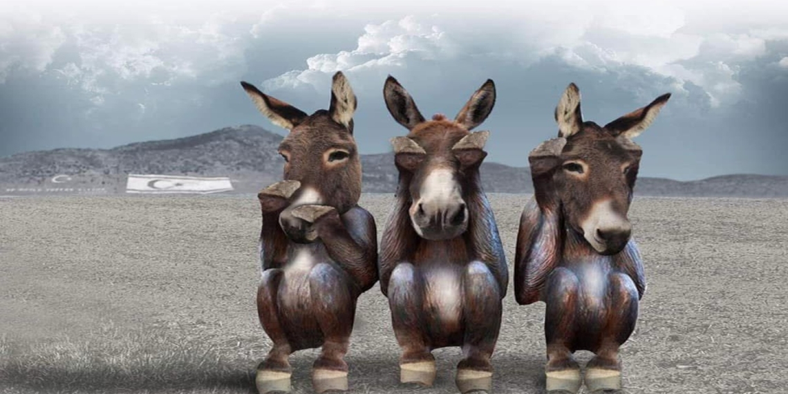 Ankara’nın Kodları, Kuzeyin Gerçeği