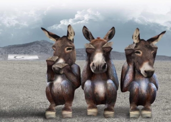 Ankara’nın Kodları, Kuzeyin Gerçeği